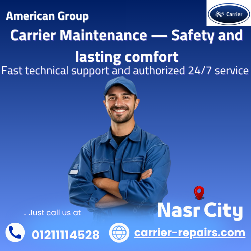 Carrier Maintenance Nasr City
