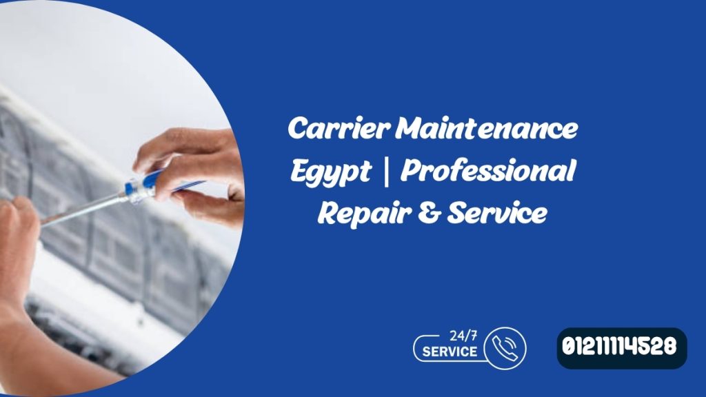 Carrier Maintenance Egypt | Professional Repair & Service