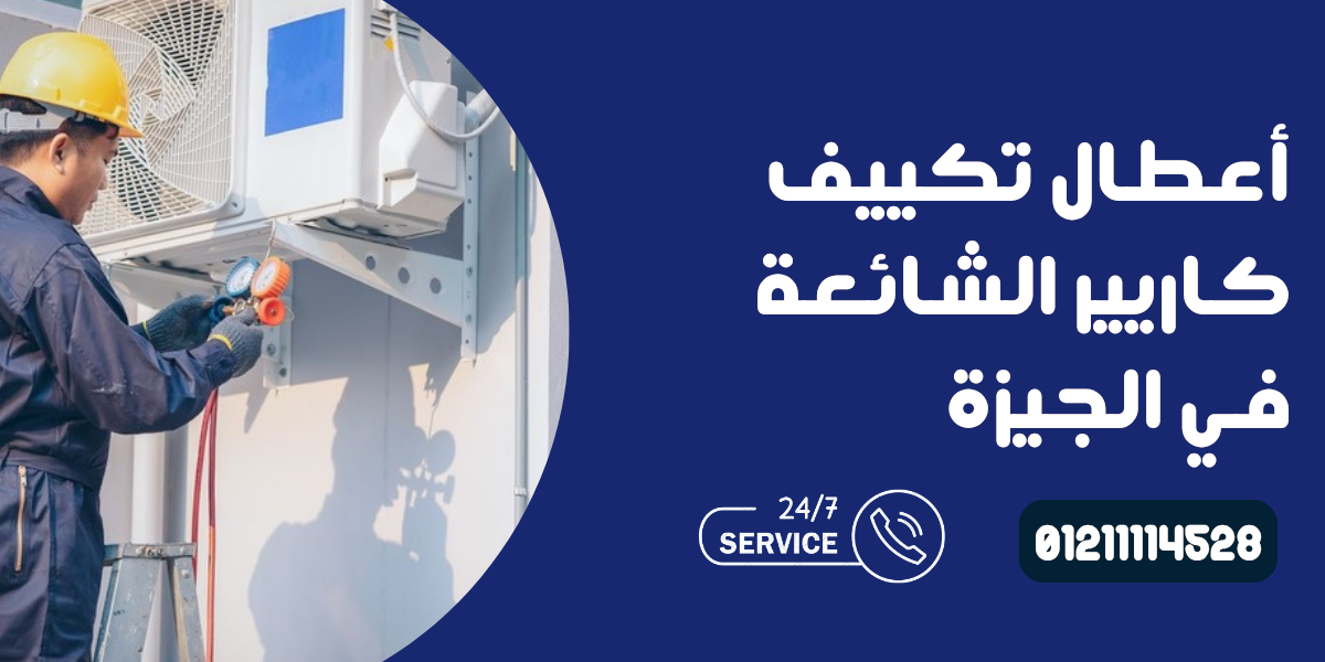 مركز صيانة كاريير في الجيزة