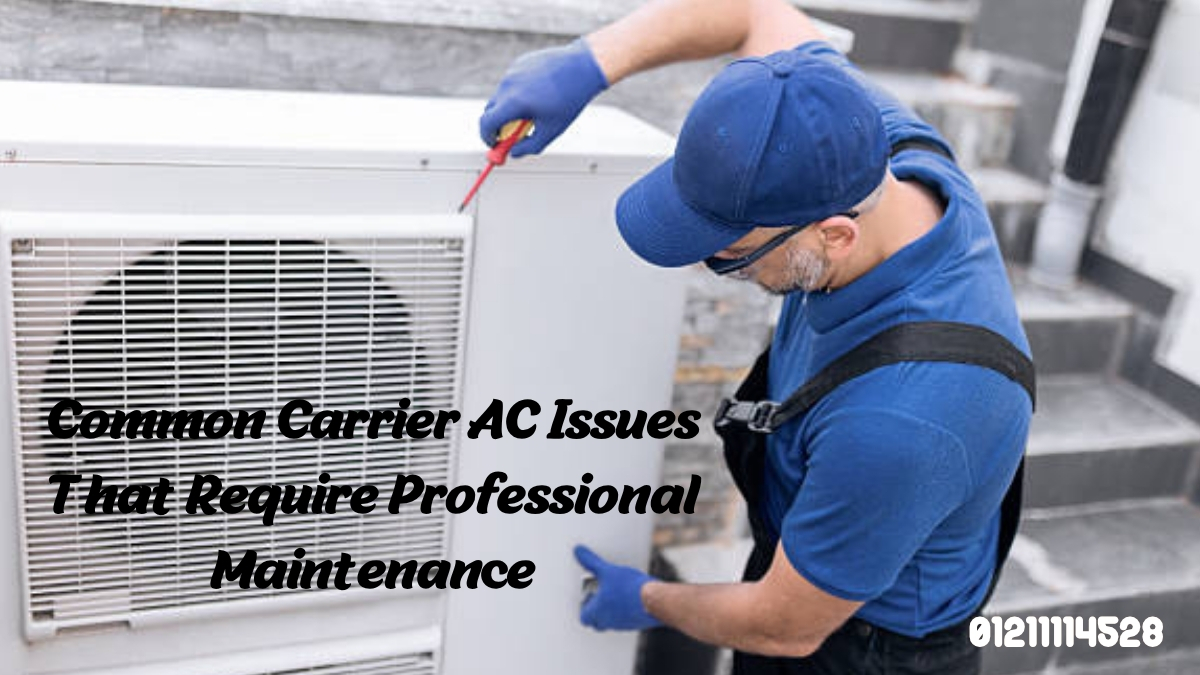 Common Carrier AC Issues That Require Professional Maintenance