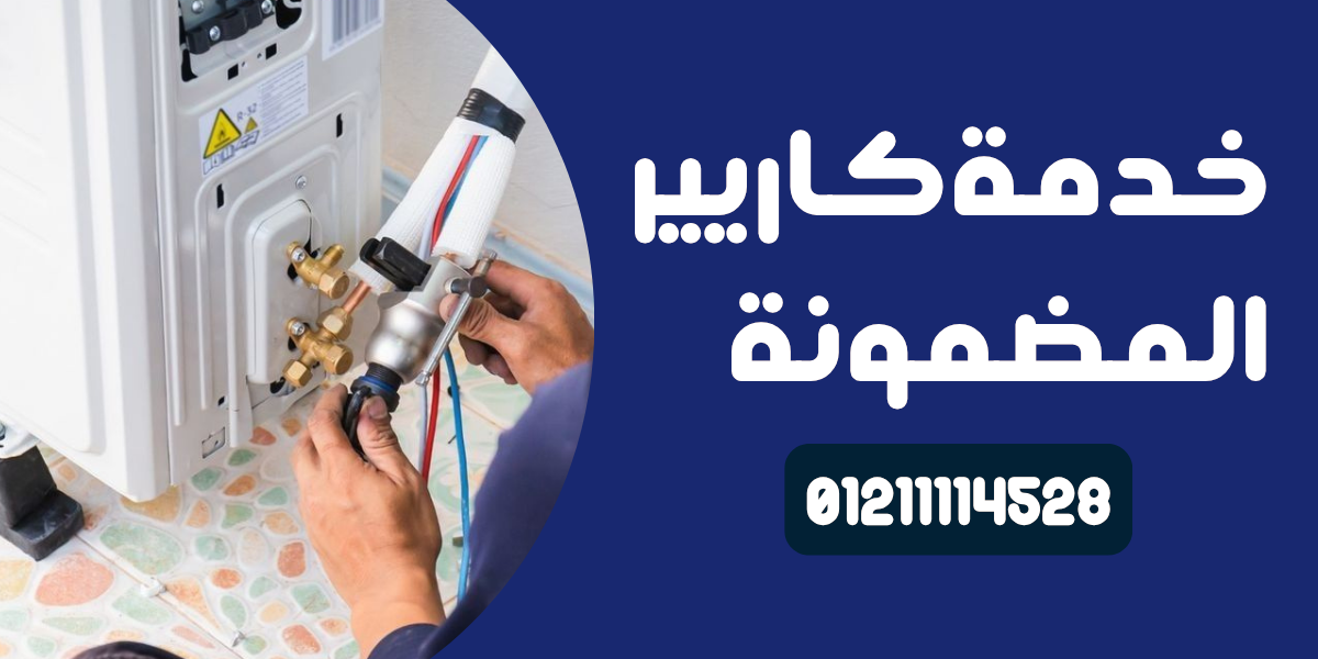 صيانة كاريير في حدائق الأهرام